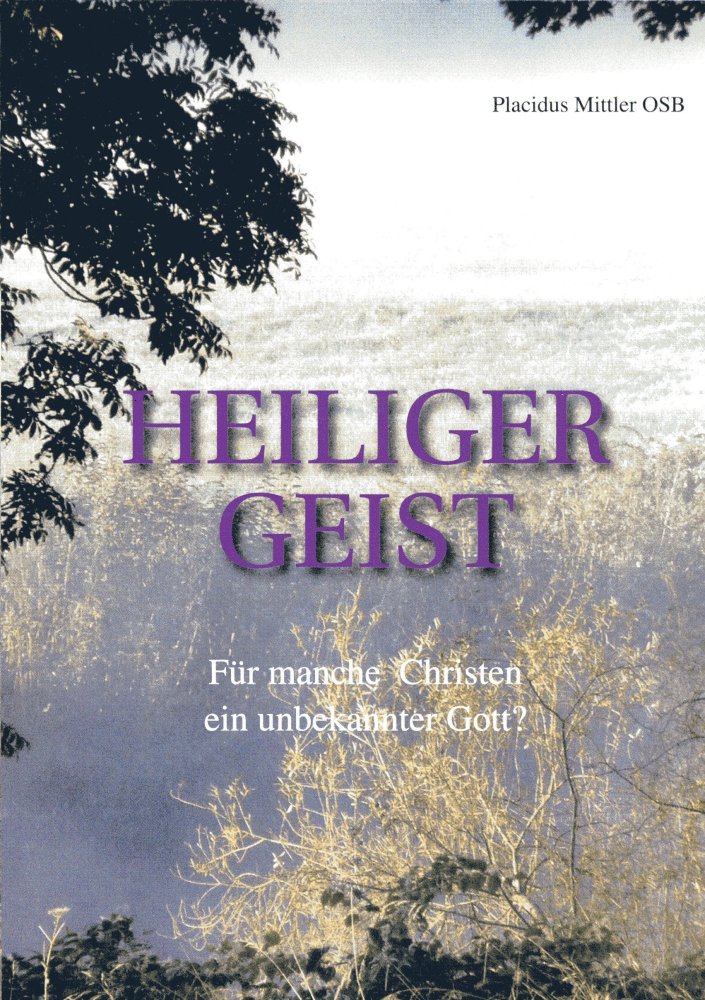 Cover Heiliger Geist. F�r manche Christen ein unbekannter Gott?
